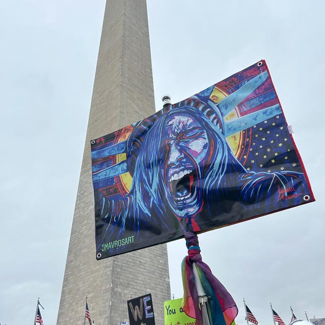 Lady Liberty Protest Flag 50501|Protest Sign|Art as Resistance |Political Statement for Flag Pole|Democracy at Risk|Protect Democracy