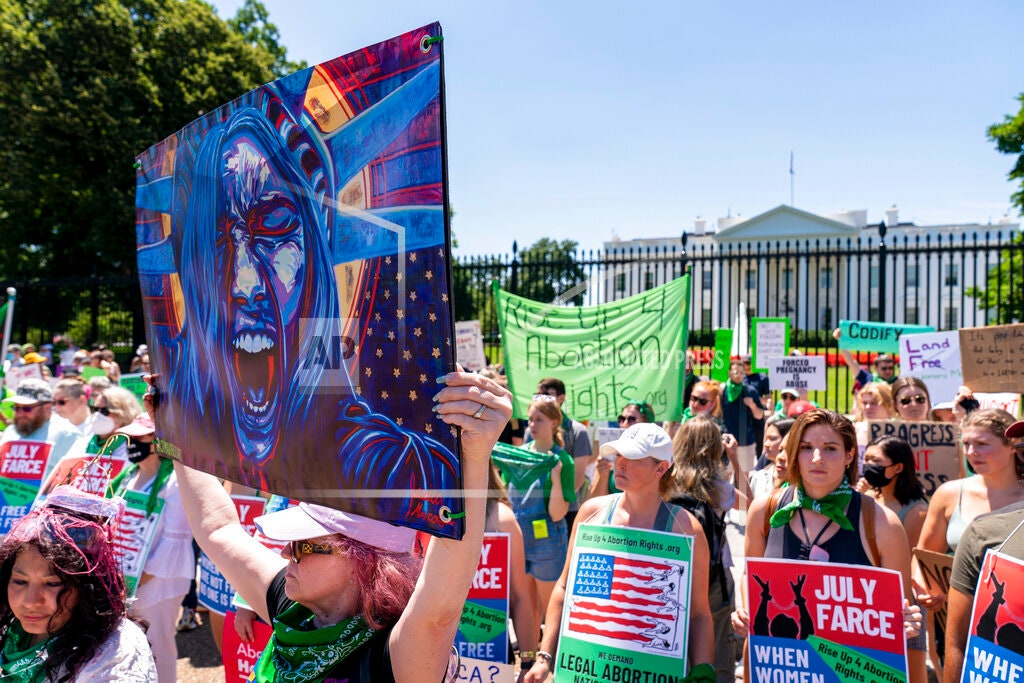 Lady Liberty Resistance sign|Protest Yard Sign| Political Yard Sign|Democracy at Risk|Anti Fascism|Protect Democracy Sign|SILENT DISSENT