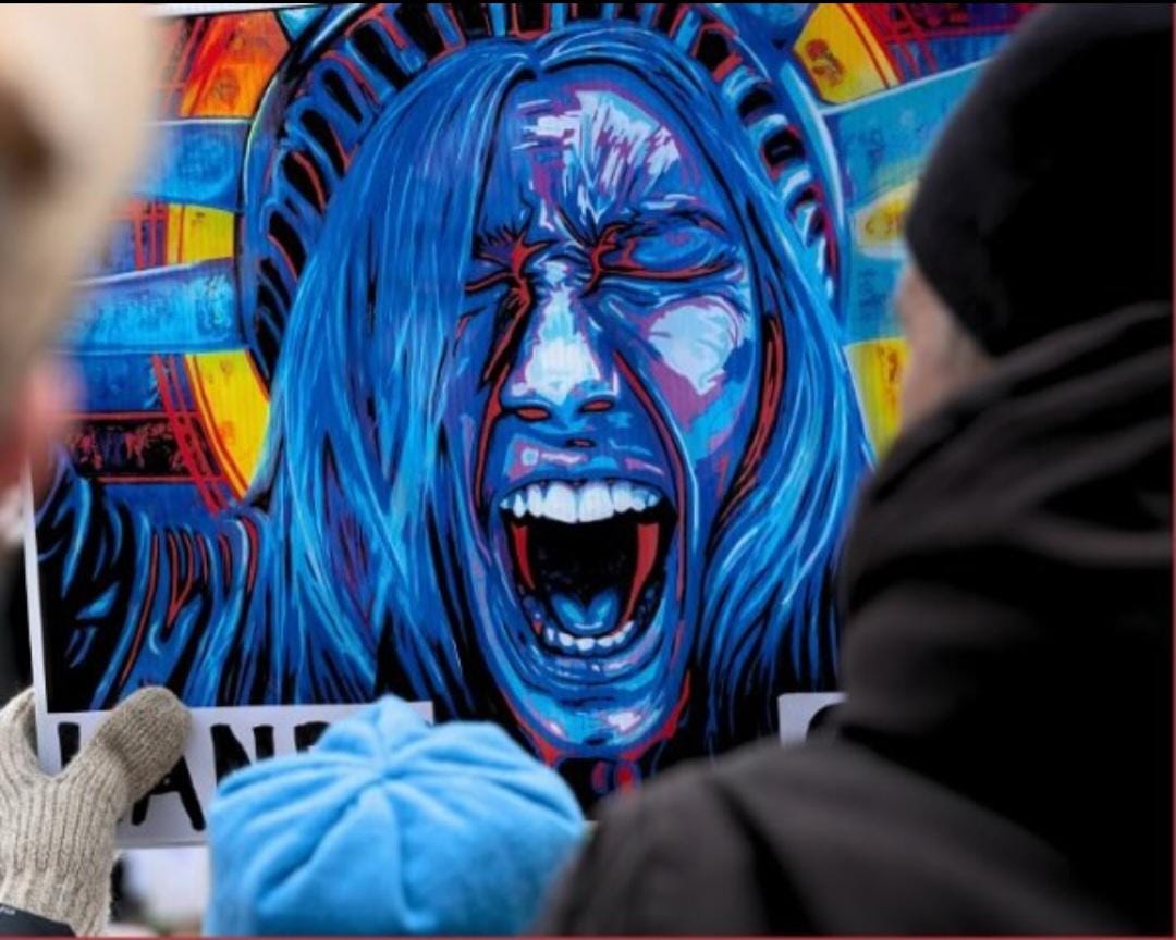 Lady Liberty Resistance Sign|Protest Sign Poster|Political Sign Poster|Democracy at Risk|Anti Fascism Poster|Protect Democracy Sign|50501 Art as Resistance |