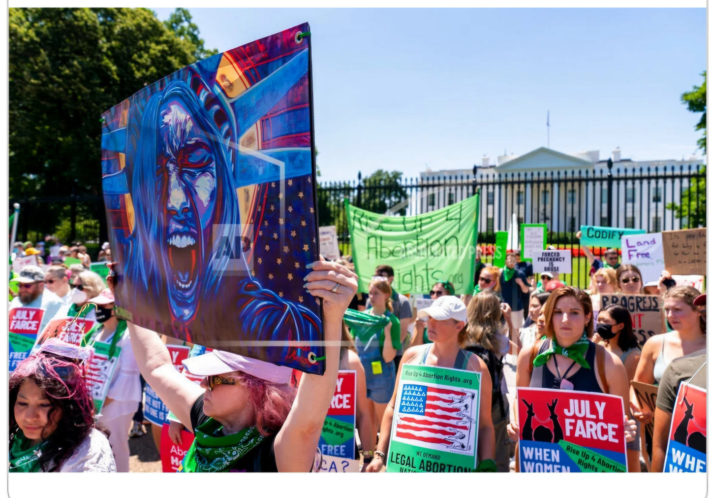 Lady Liberty Protest Flag 50501|Protest Sign|Art as Resistance |Political Statement for Flag Pole|Democracy at Risk|Protect Democracy