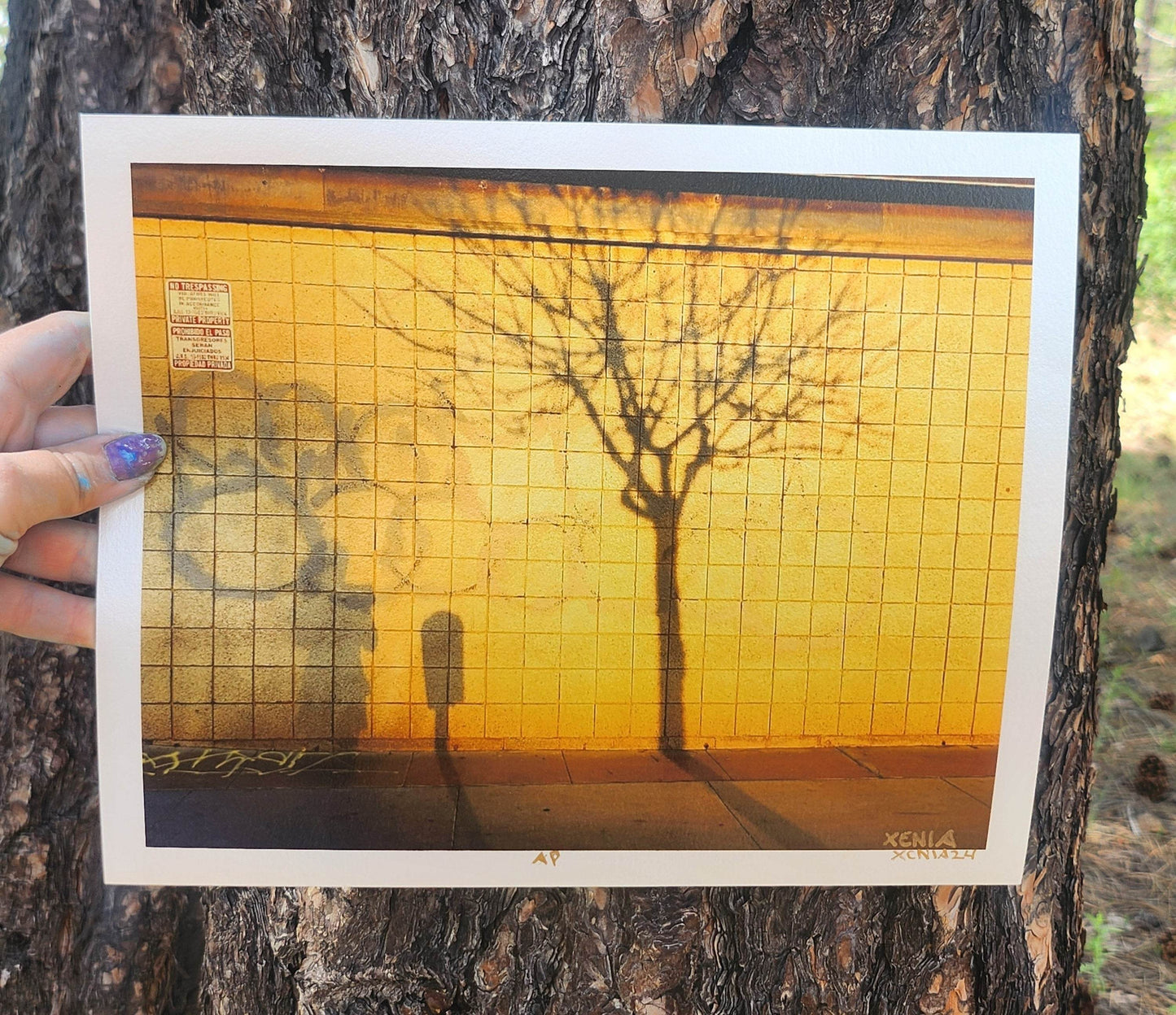 Urban Forrest Graffiti Art Print Limited Edition Wall Art Metallic Gold Graffiti Photo Giclee - JMAVROSART 