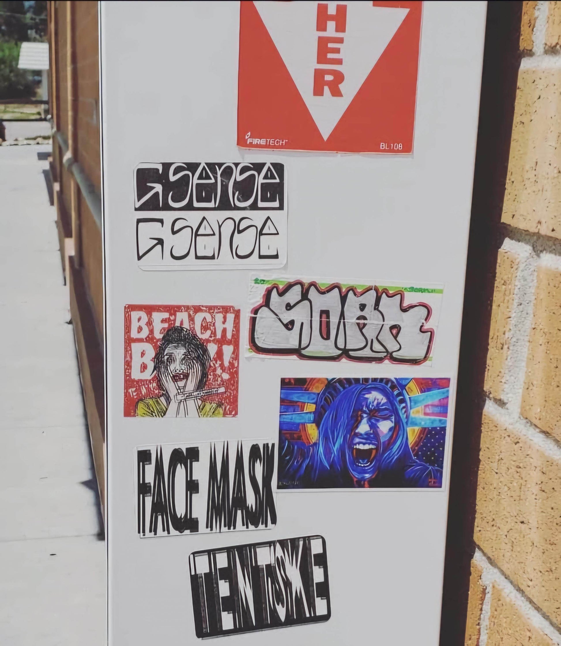 50501 Protest Art Stickers|Screaming Lady Liberty Stickers | Political Stickers|Democracy at Risk|Distress Flag Yard Stickers| Political Stickers| Sticker Slaps - JMAVROSART 